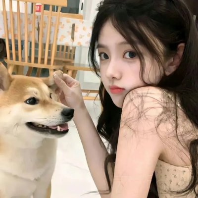 后宫太子妃